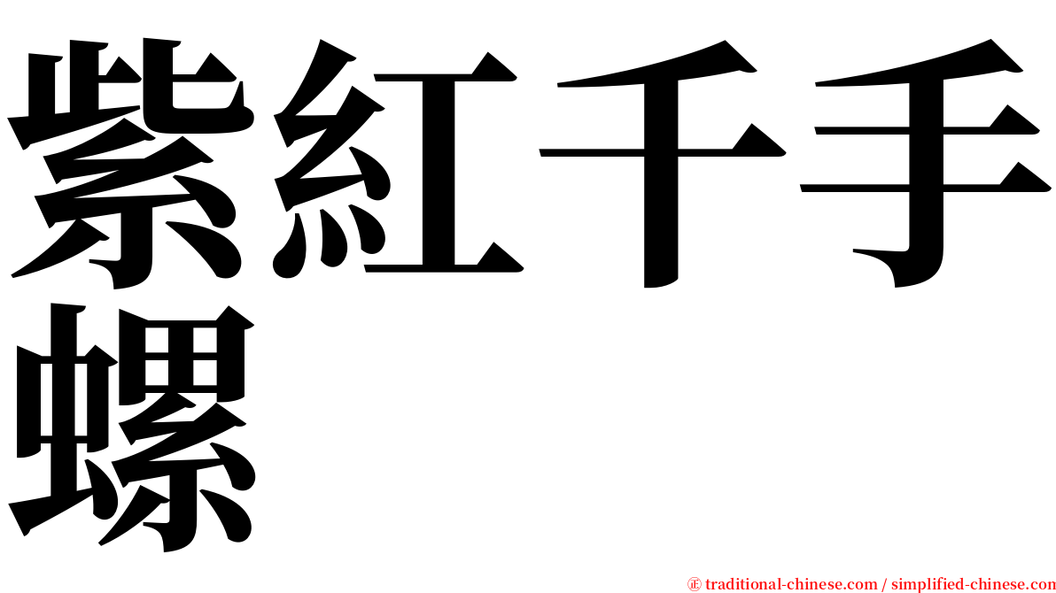 紫紅千手螺 serif font