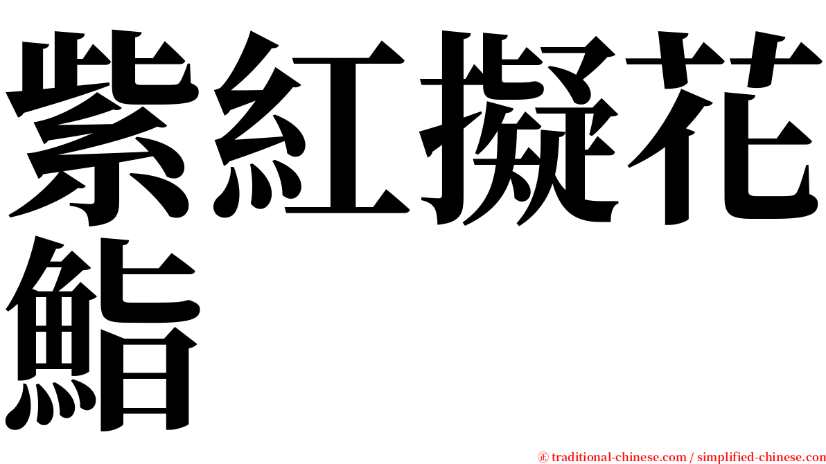 紫紅擬花鮨 serif font