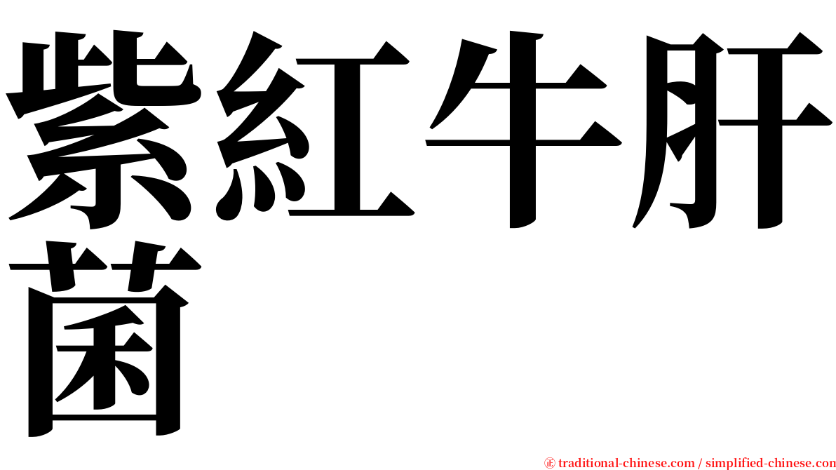 紫紅牛肝菌 serif font