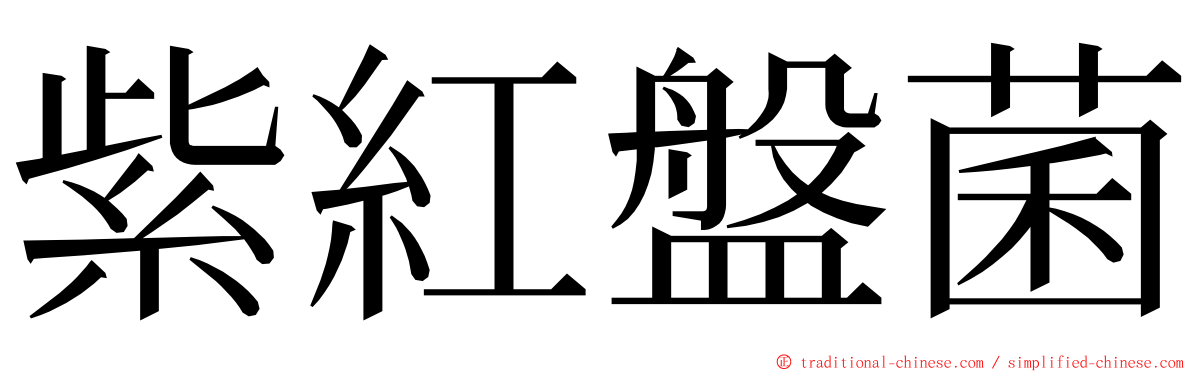 紫紅盤菌 ming font