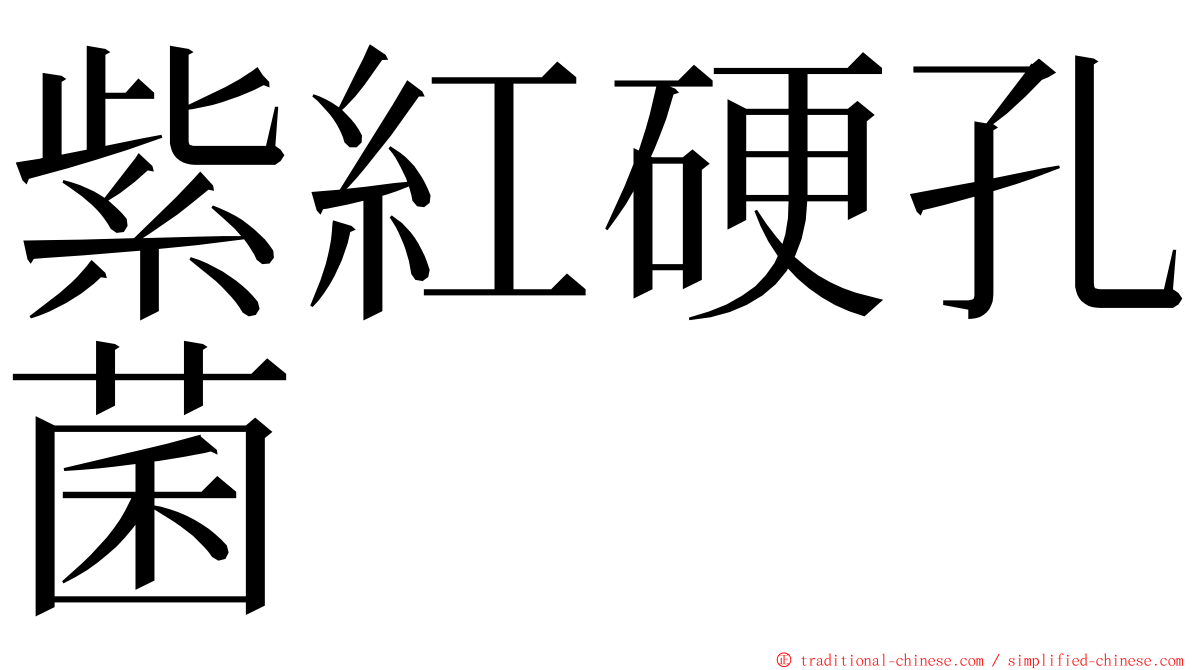 紫紅硬孔菌 ming font