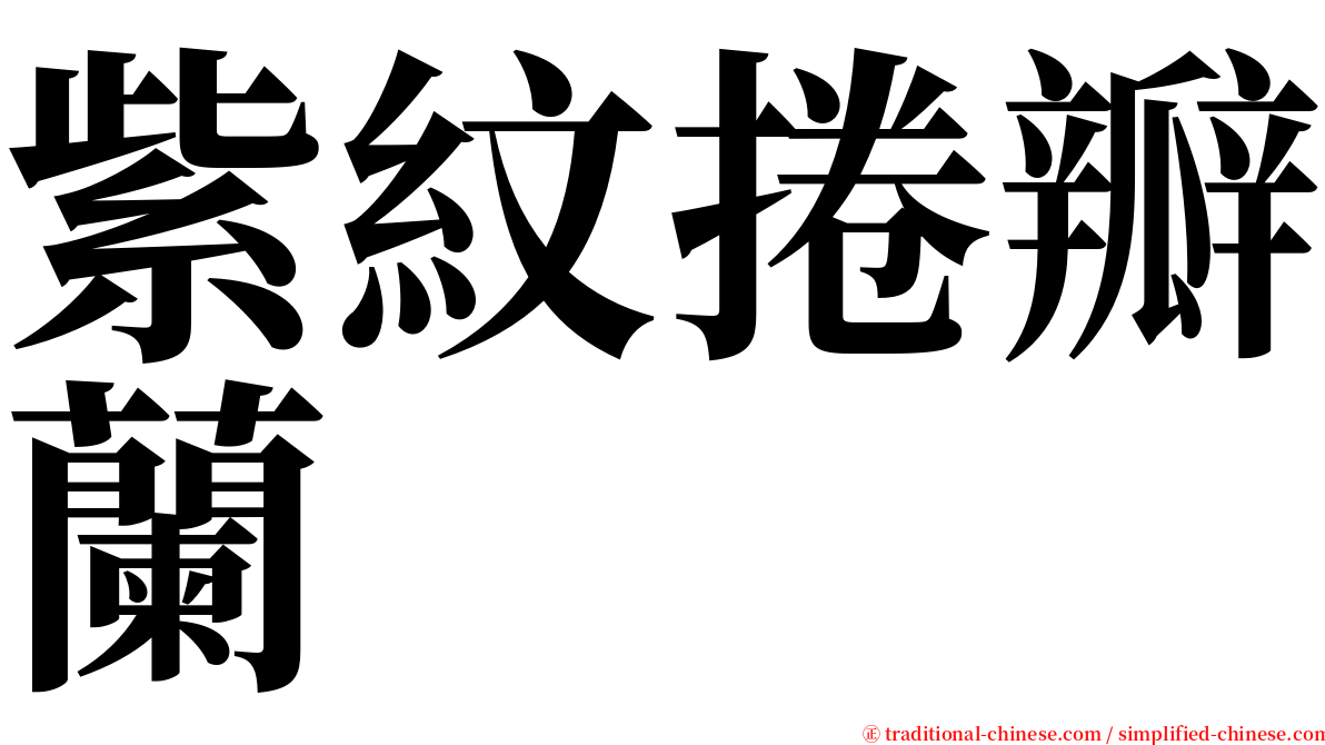 紫紋捲瓣蘭 serif font