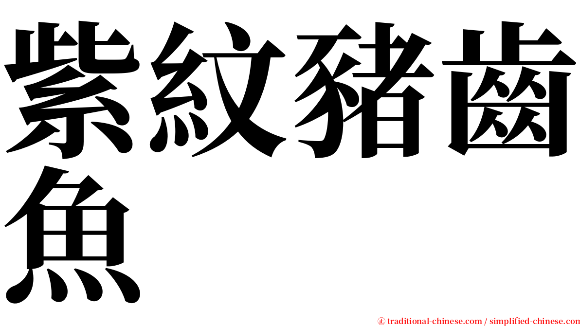 紫紋豬齒魚 serif font