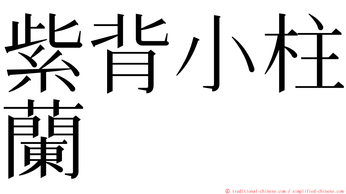 紫背小柱蘭 ming font