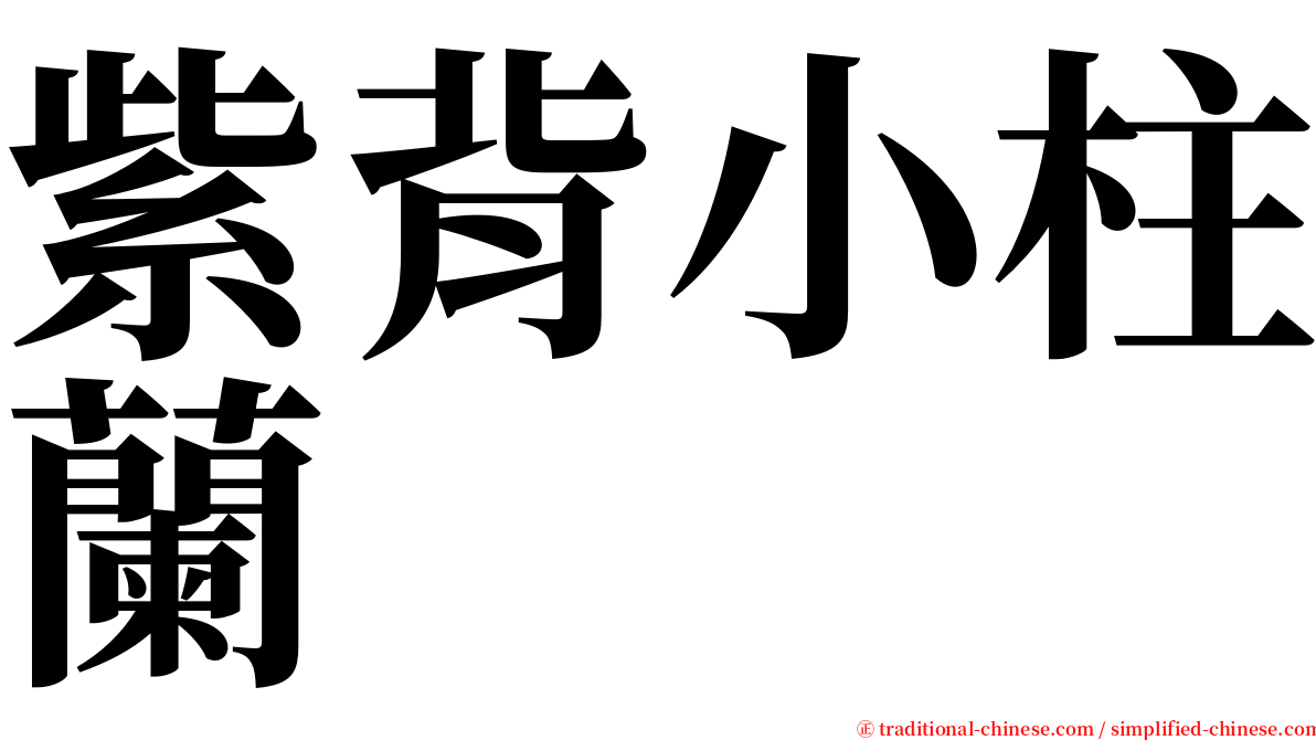 紫背小柱蘭 serif font