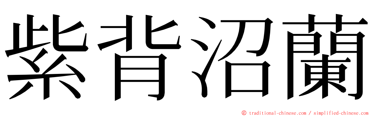 紫背沼蘭 ming font