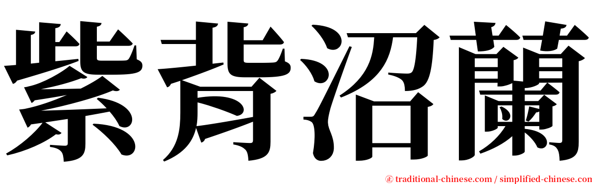 紫背沼蘭 serif font