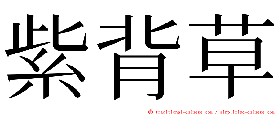 紫背草 ming font