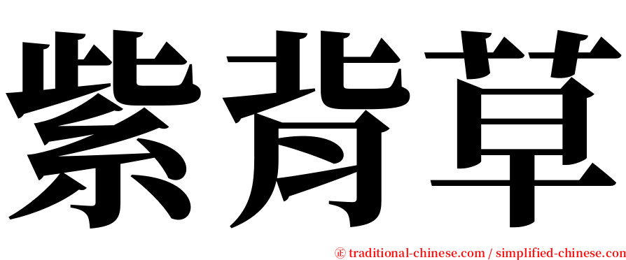 紫背草 serif font