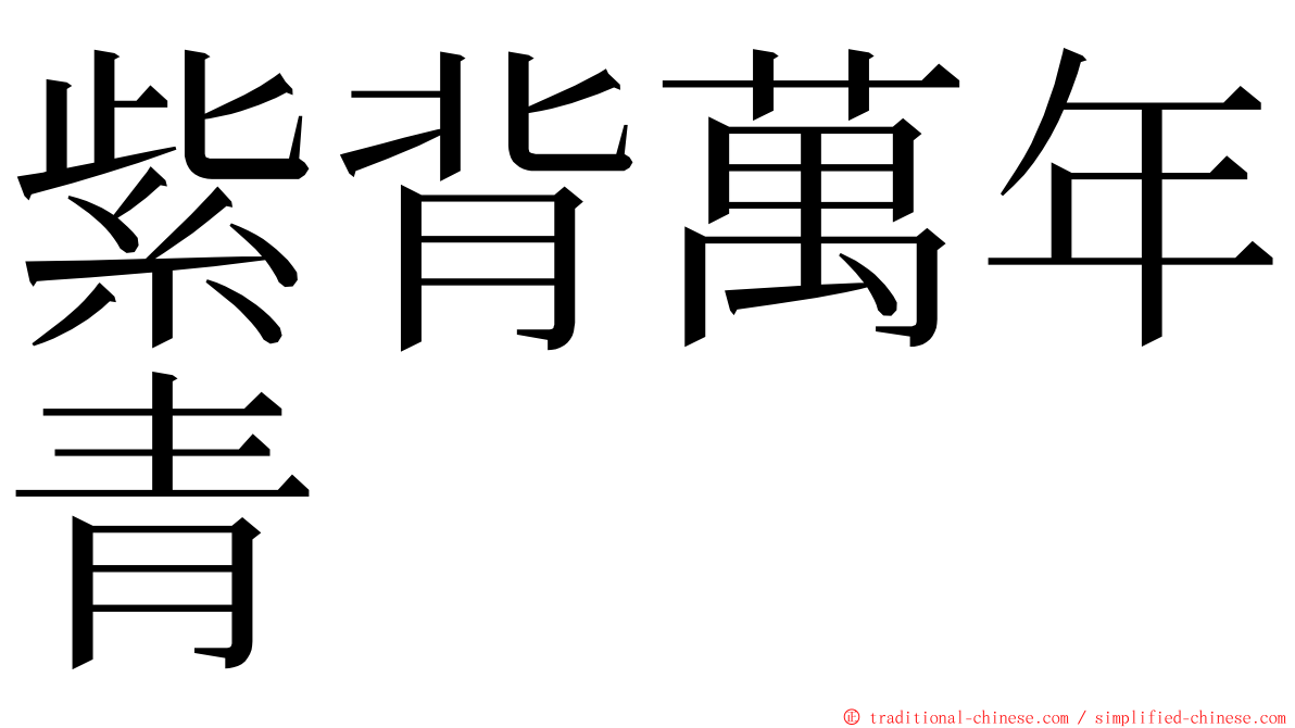 紫背萬年青 ming font