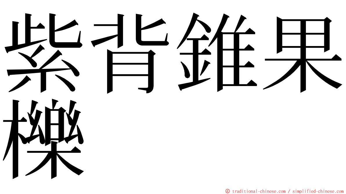 紫背錐果櫟 ming font