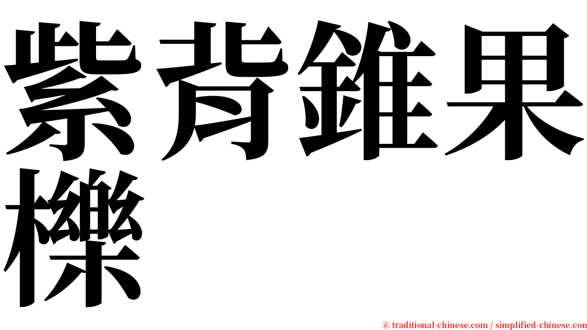 紫背錐果櫟 serif font