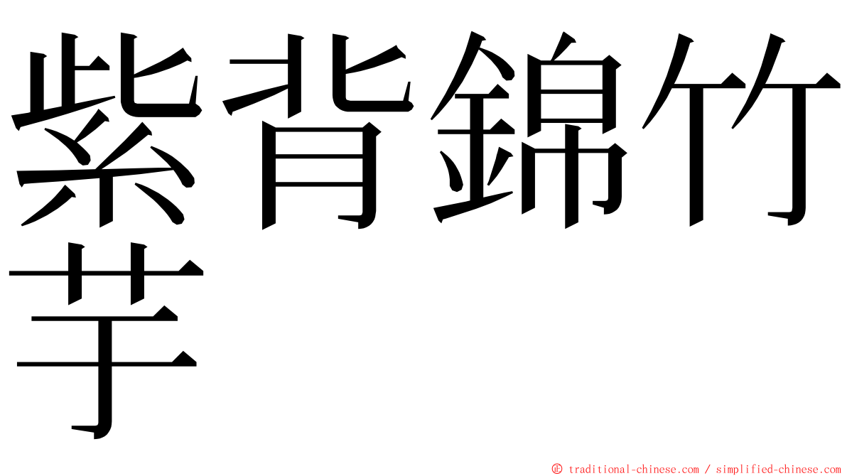 紫背錦竹芋 ming font