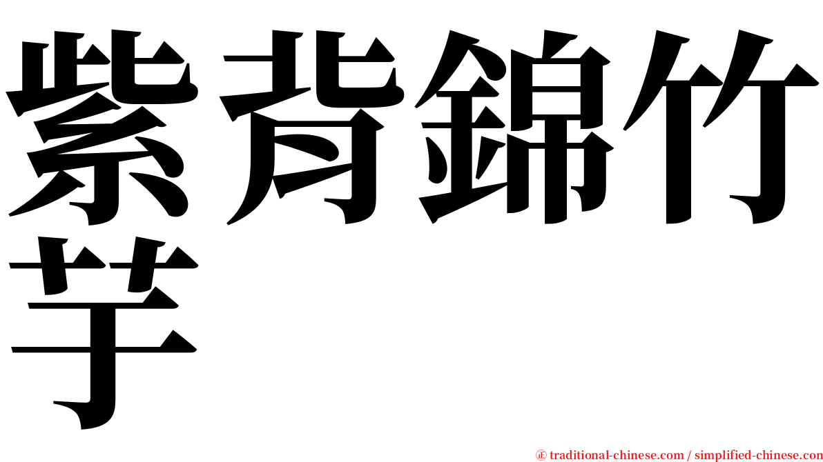 紫背錦竹芋 serif font