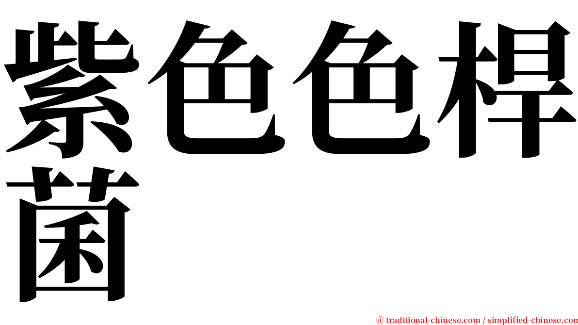 紫色色桿菌 serif font