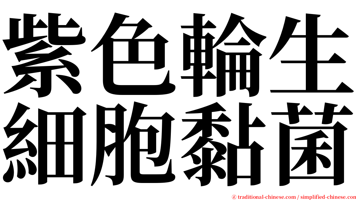 紫色輪生細胞黏菌 serif font