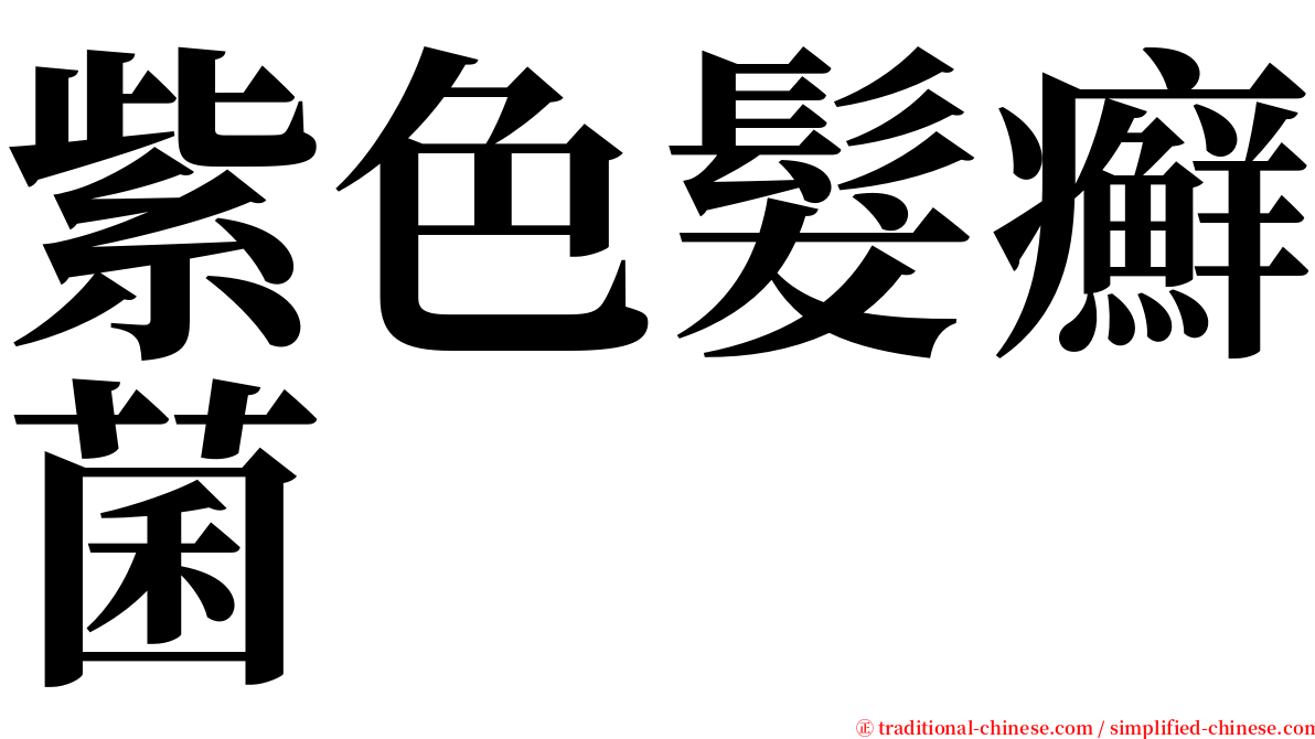 紫色髮癬菌 serif font