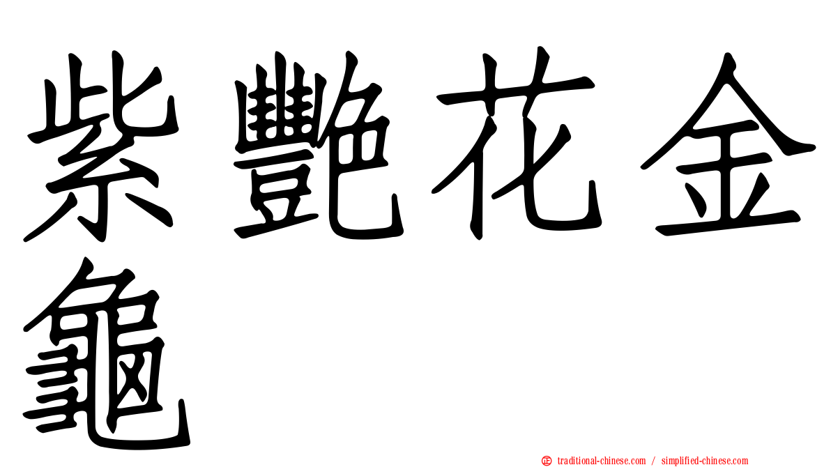 紫艷花金龜