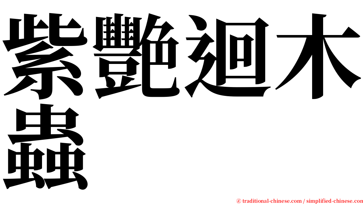 紫艷迴木蟲 serif font