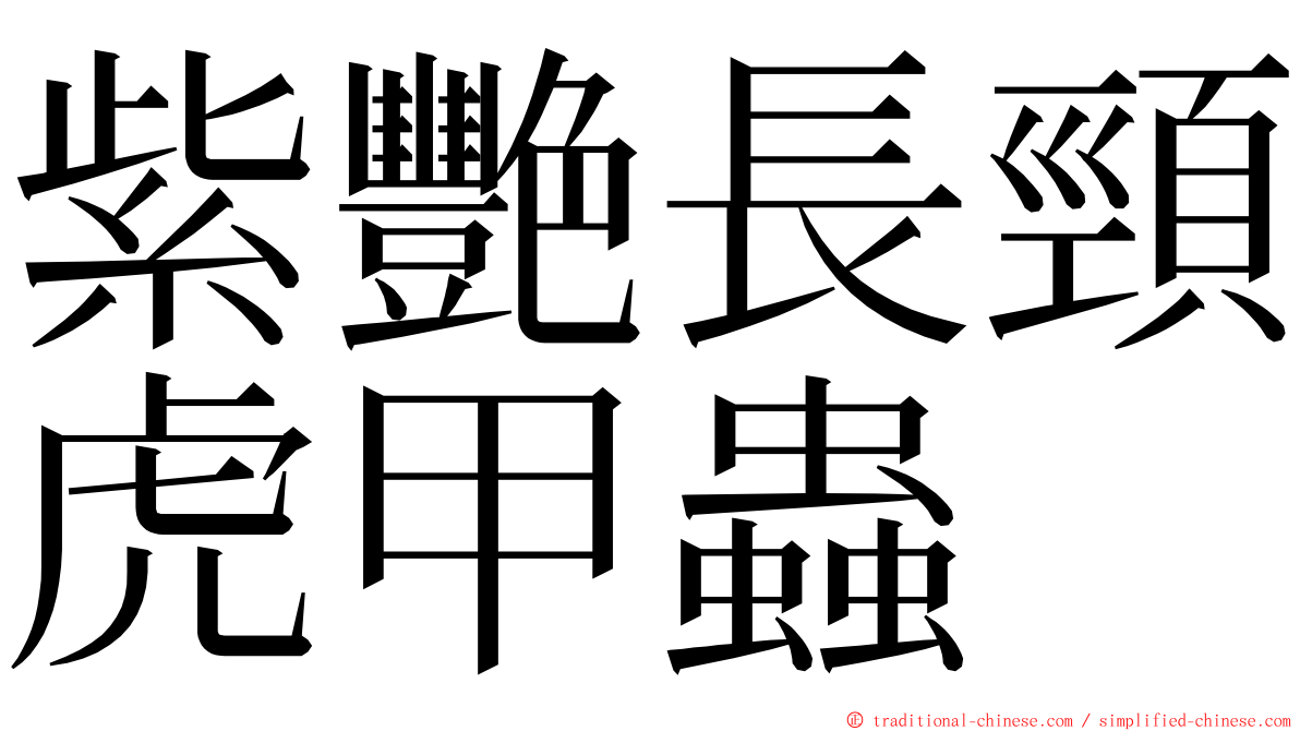 紫艷長頸虎甲蟲 ming font