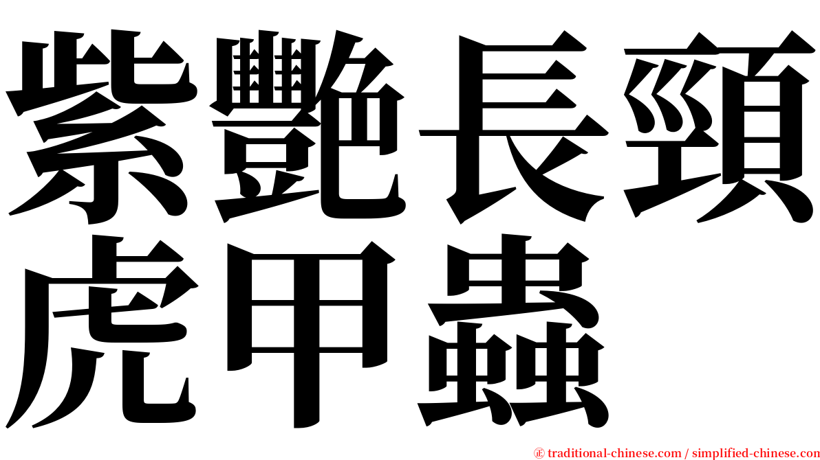 紫艷長頸虎甲蟲 serif font