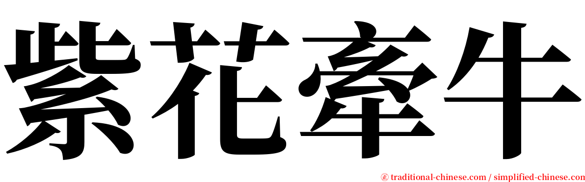 紫花牽牛 serif font