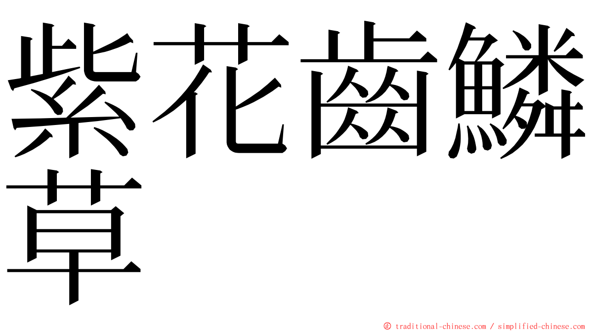 紫花齒鱗草 ming font