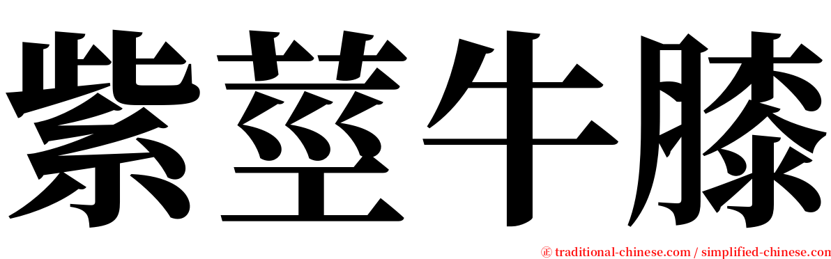 紫莖牛膝 serif font