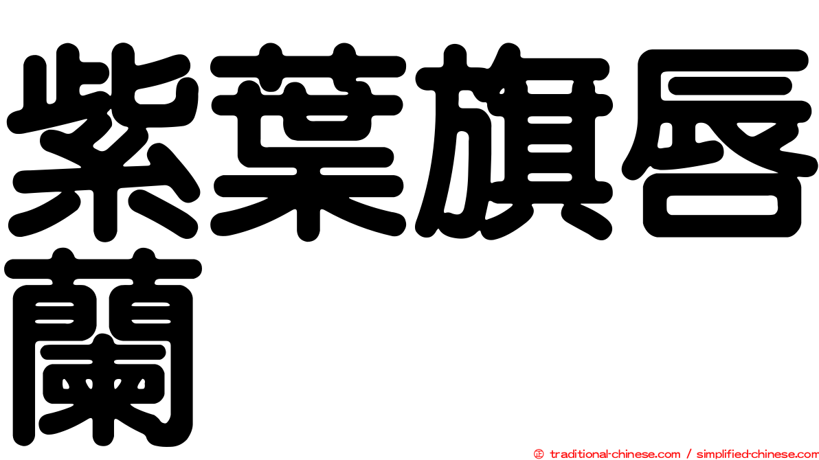 紫葉旗唇蘭