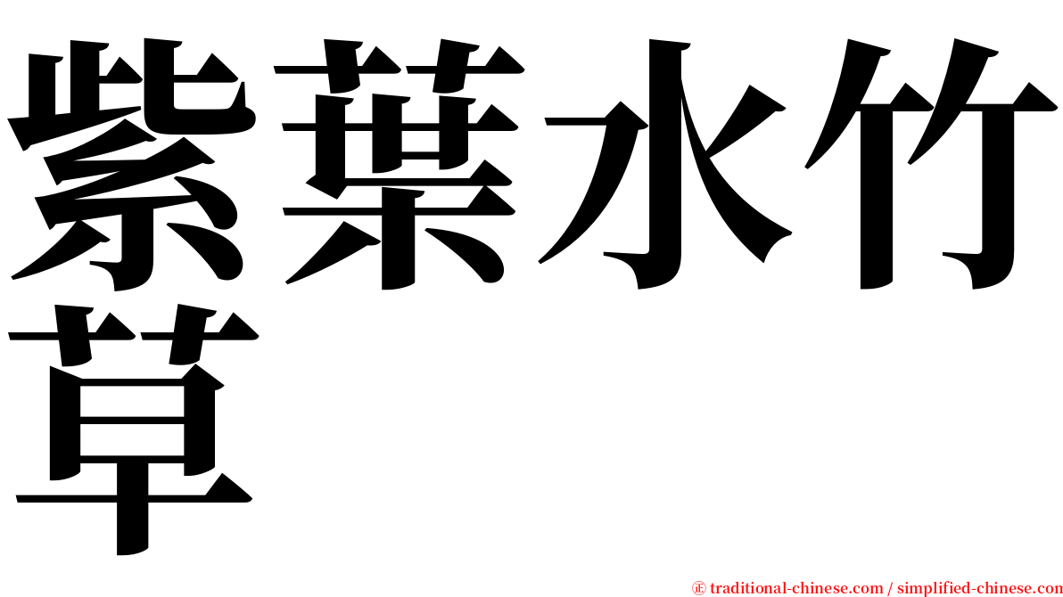 紫葉水竹草 serif font