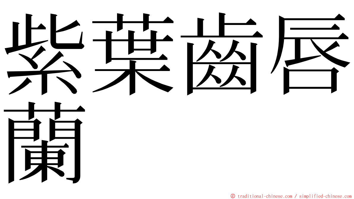 紫葉齒唇蘭 ming font