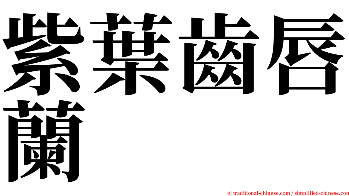 紫葉齒唇蘭 serif font