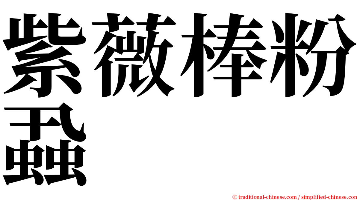 紫薇棒粉蝨 serif font