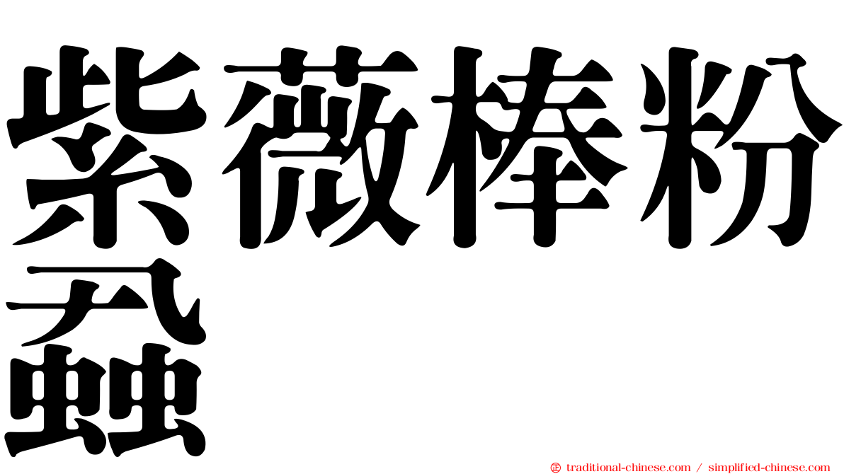 紫薇棒粉蝨