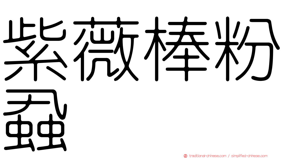 紫薇棒粉蝨