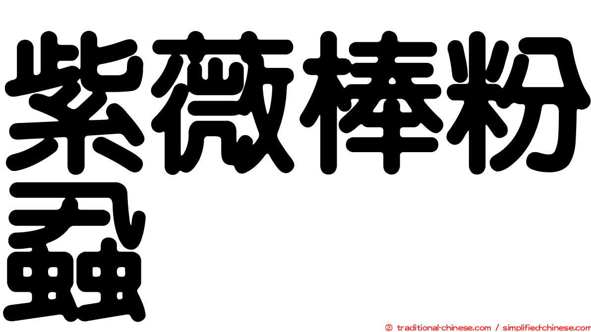 紫薇棒粉蝨