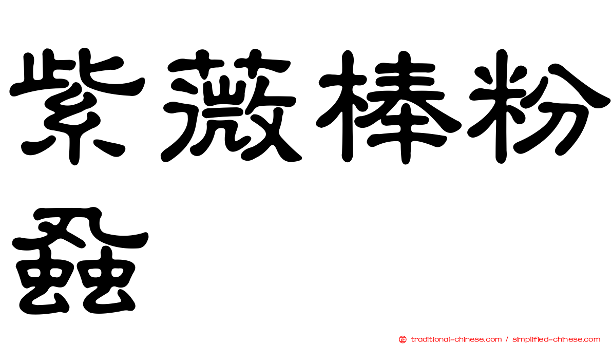 紫薇棒粉蝨