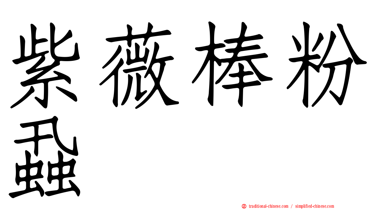 紫薇棒粉蝨