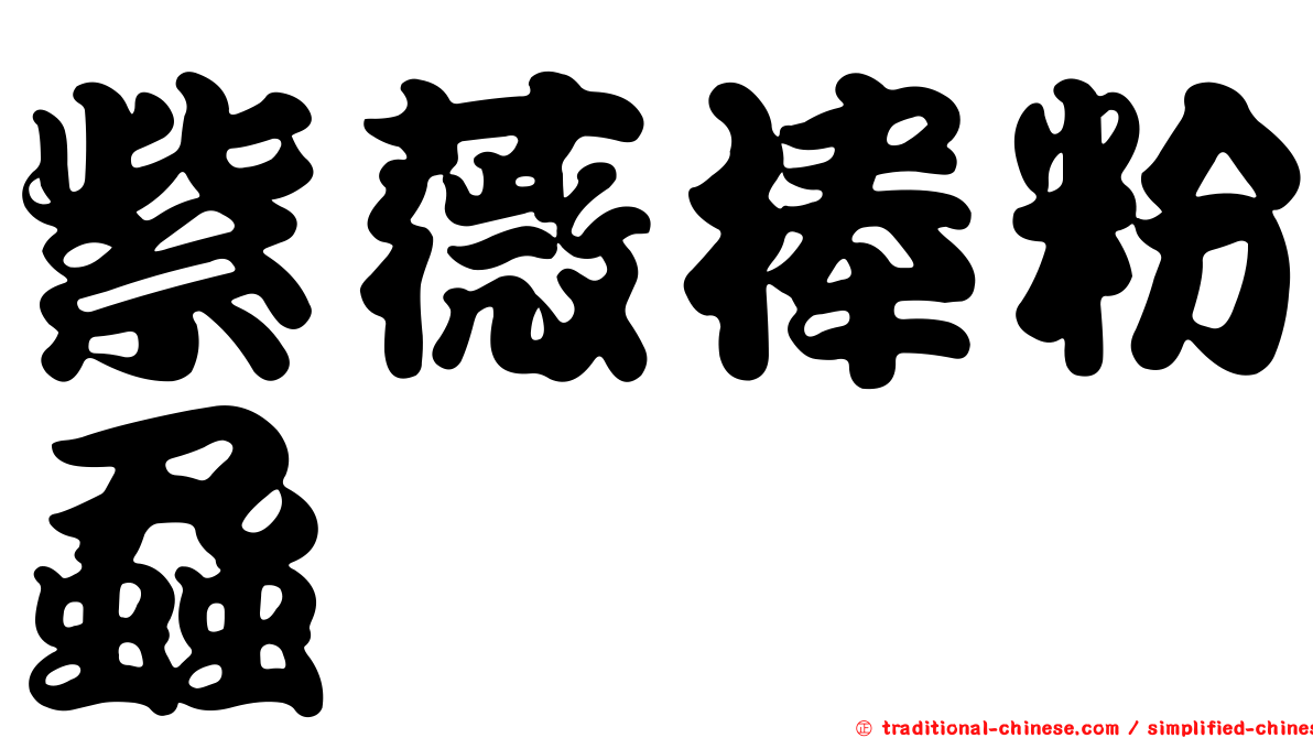 紫薇棒粉蝨