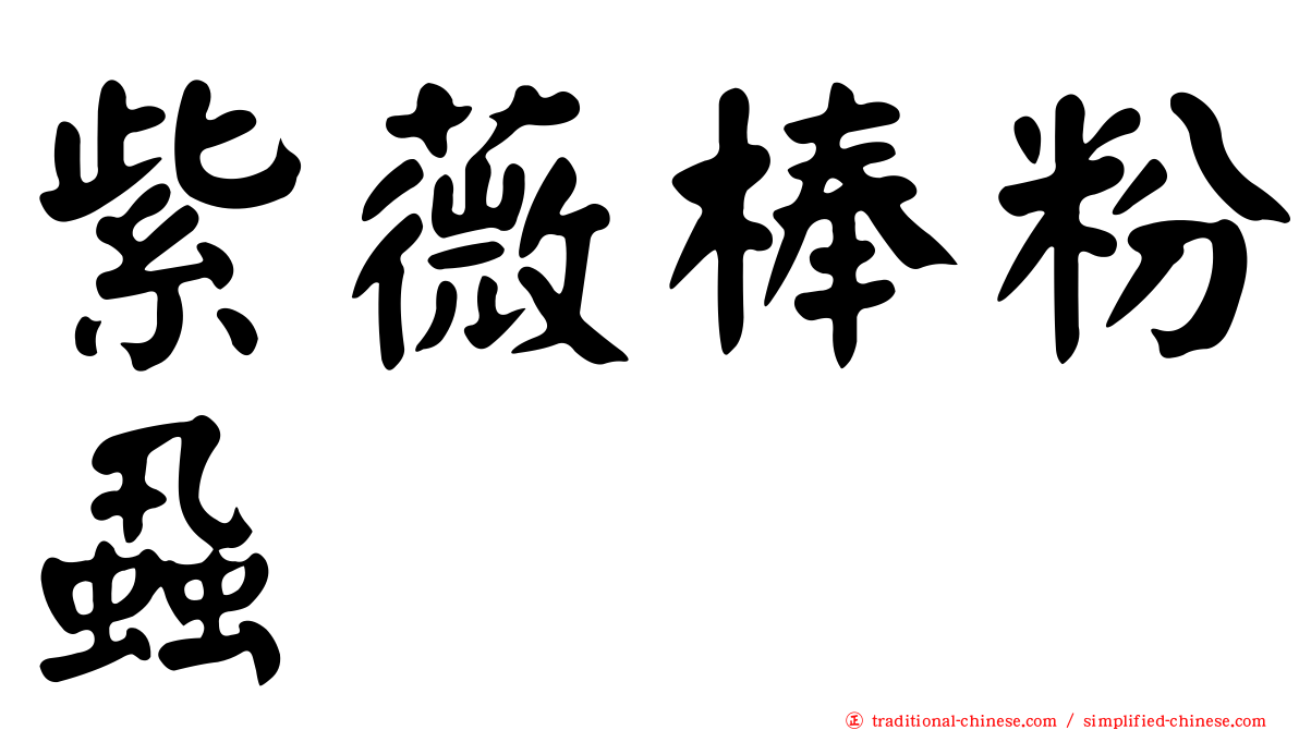 紫薇棒粉蝨
