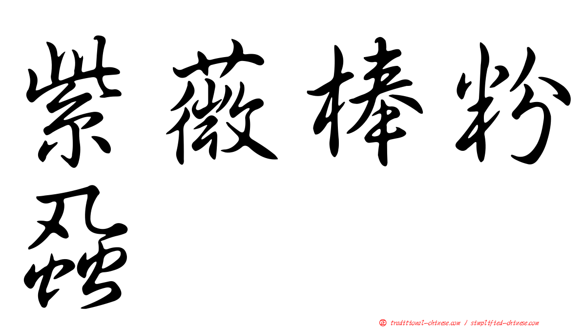 紫薇棒粉蝨