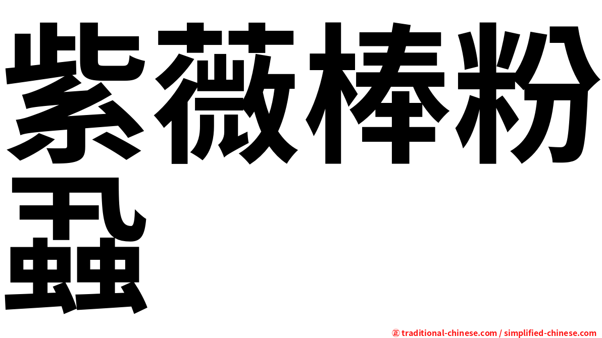 紫薇棒粉蝨