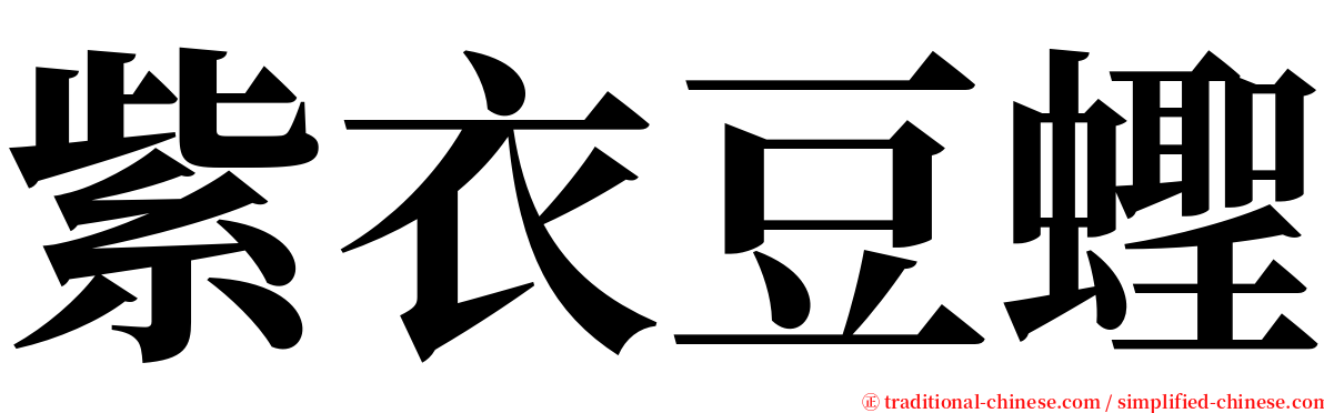 紫衣豆蟶 serif font