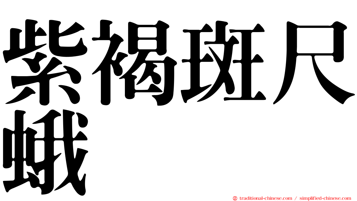 紫褐斑尺蛾