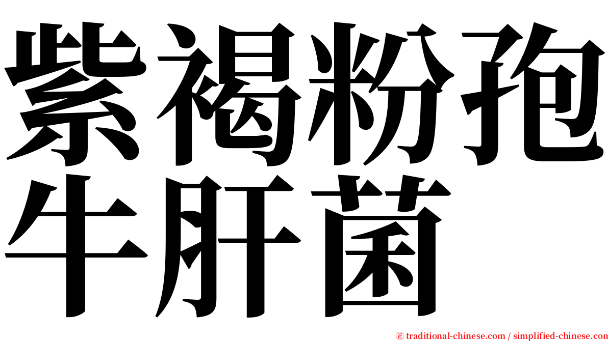 紫褐粉孢牛肝菌 serif font