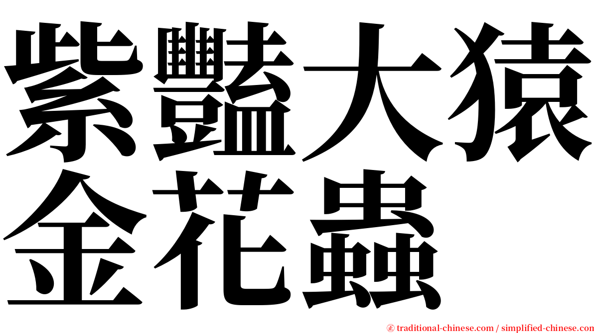 紫豔大猿金花蟲 serif font