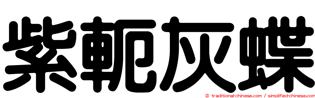 紫軛灰蝶