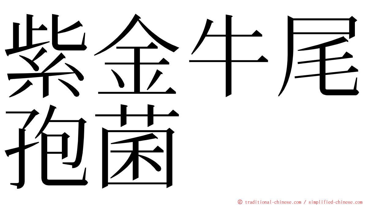 紫金牛尾孢菌 ming font