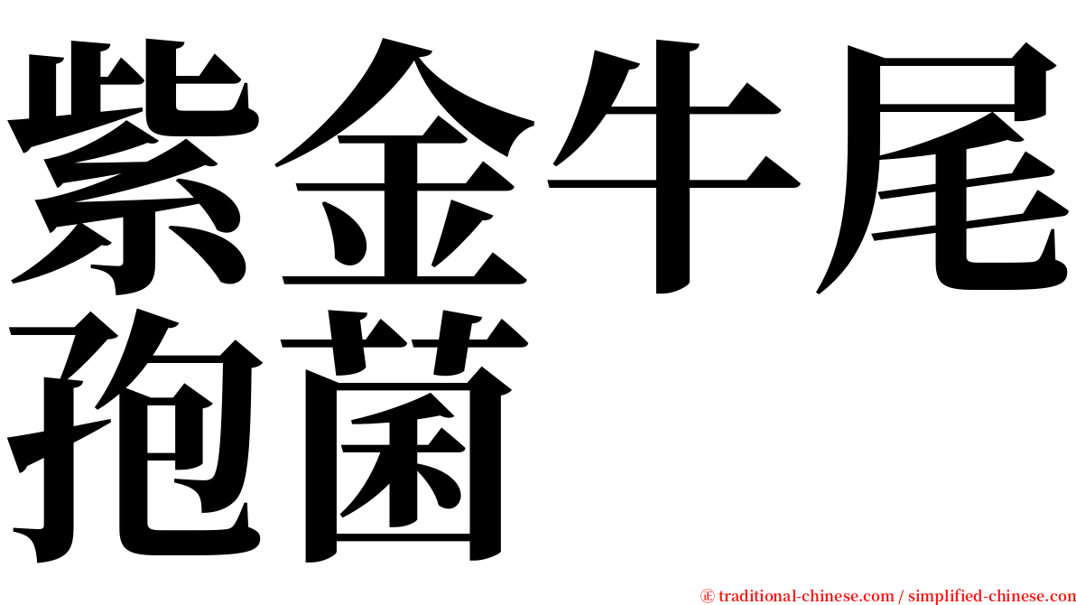 紫金牛尾孢菌 serif font