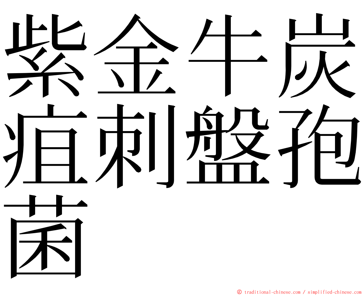 紫金牛炭疽刺盤孢菌 ming font